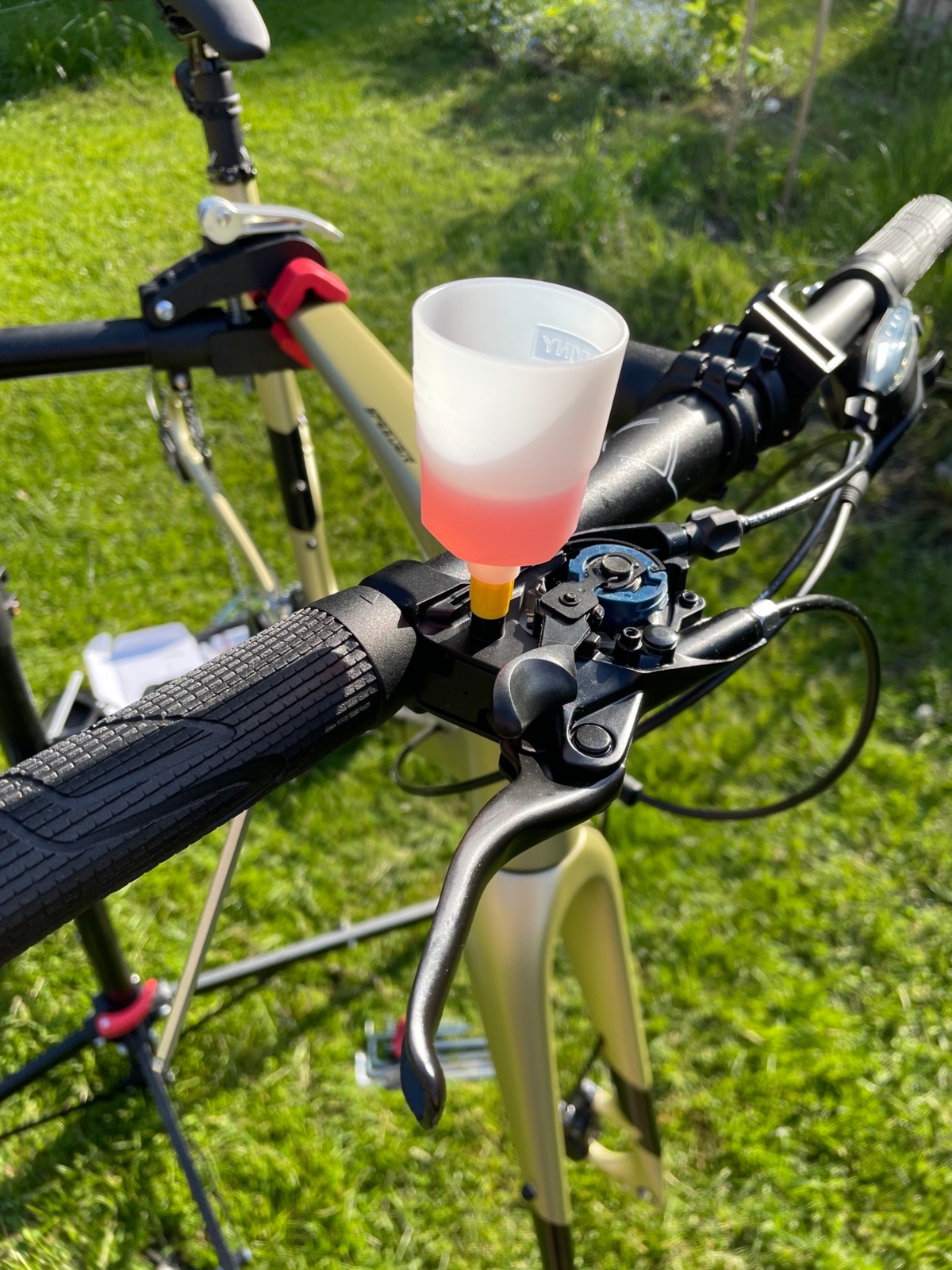 817f991b-6d73-499d-b1ec-60e46d8d157f