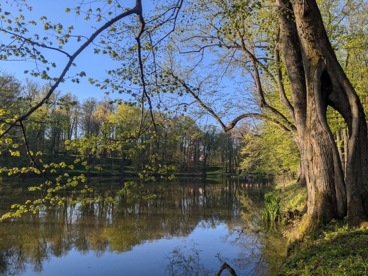 01b0d417-40f2-4227-ae39-f8ca9e81d3b5