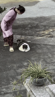 ca46700b-c97d-476e-b17a-b2b82b144ccb