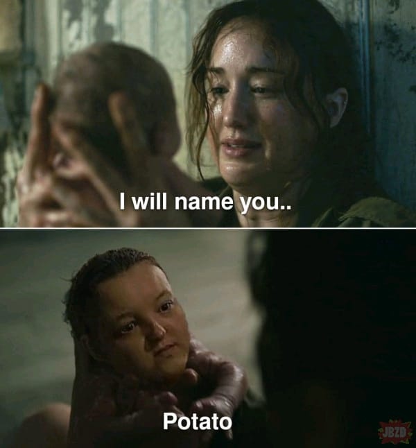 5a76ab36-3d5e-4486-8727-4bba9572bb0d