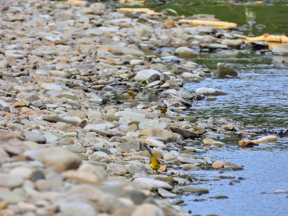 2471ccc2-25a4-432c-a7f7-6f54f8bd61fc