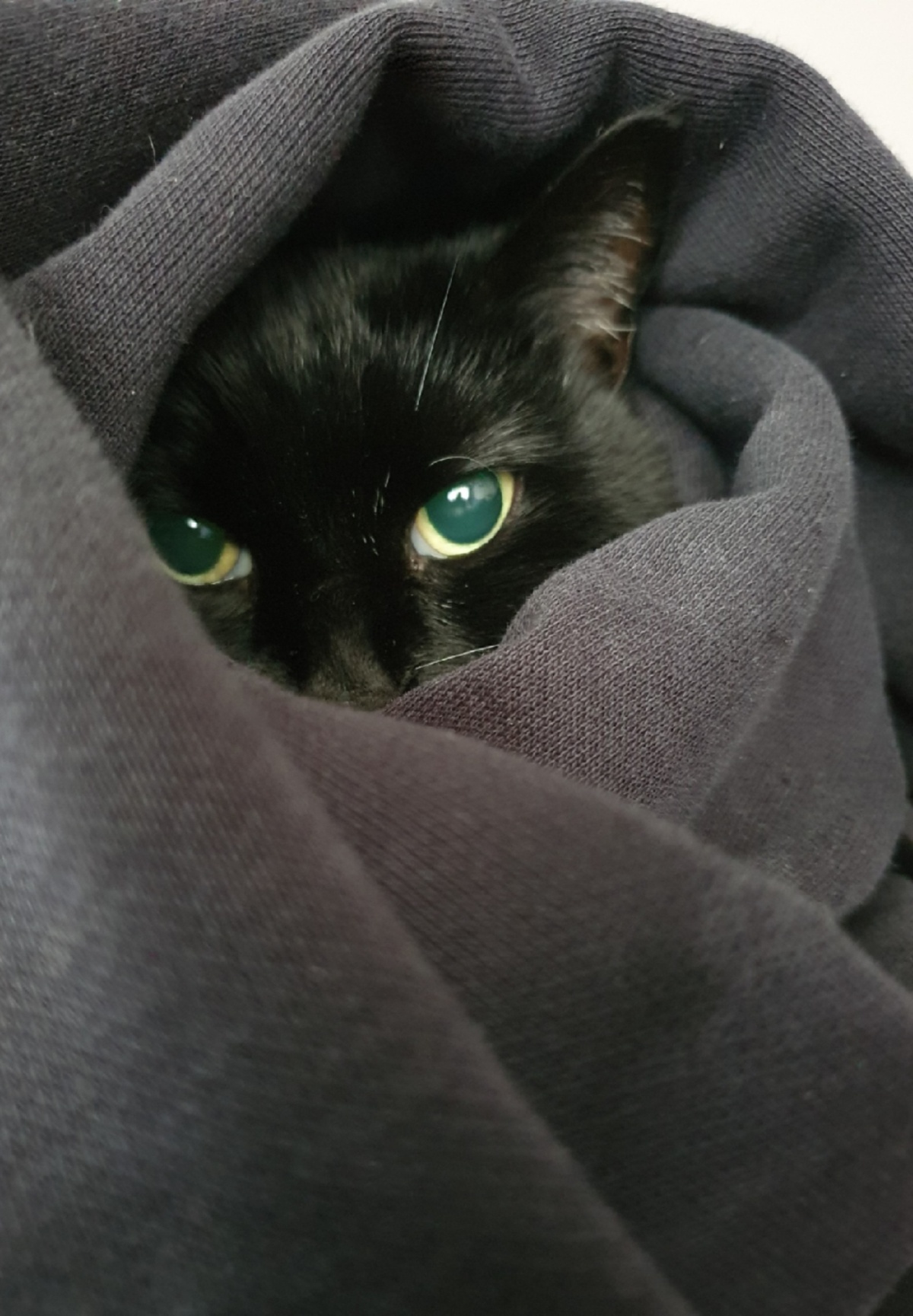 f2ae296a-4091-46f3-9ccf-66d3b1770e57