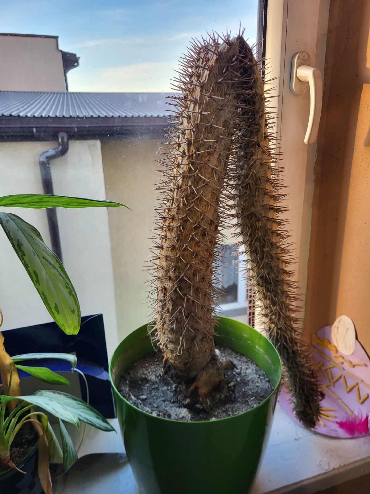 5129f79e-5975-435a-bfe5-418b56b36216