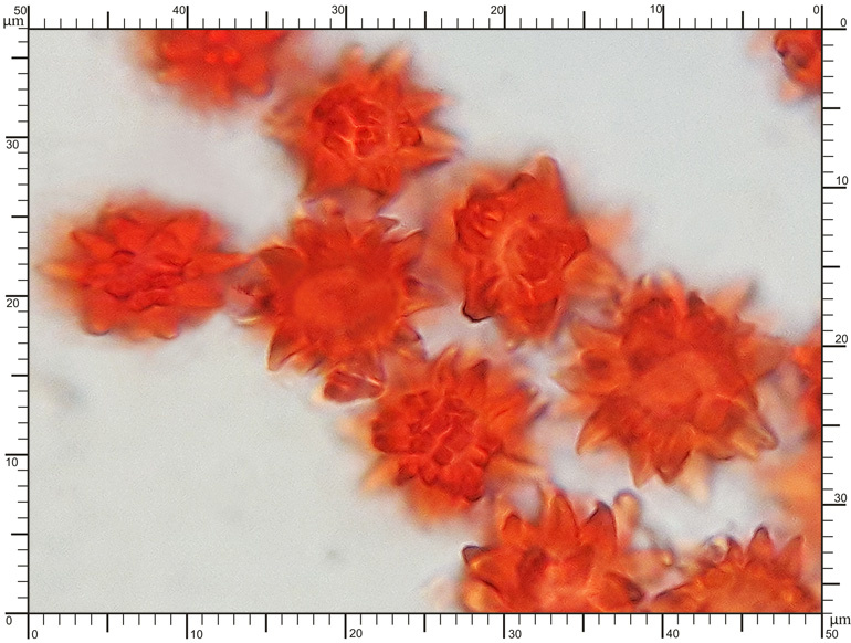 e526b7fc-1c87-4d05-8689-59650f01088a