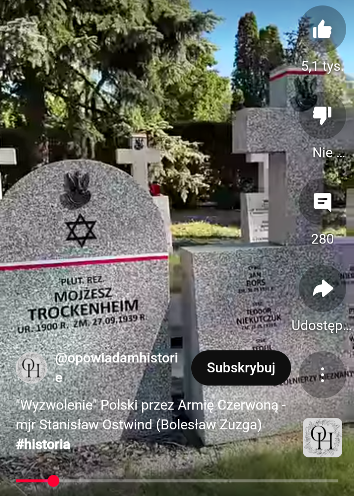 Polski Żyd w NSZ. "Wyzwolenie" Polski przez Armię Czerwoną.