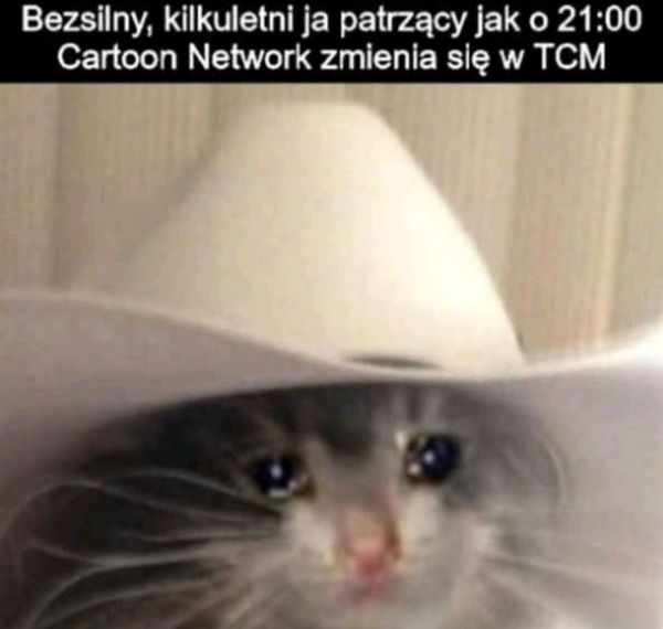 7c4f91fd-d5f7-453d-a7d6-8b8dedf672f6