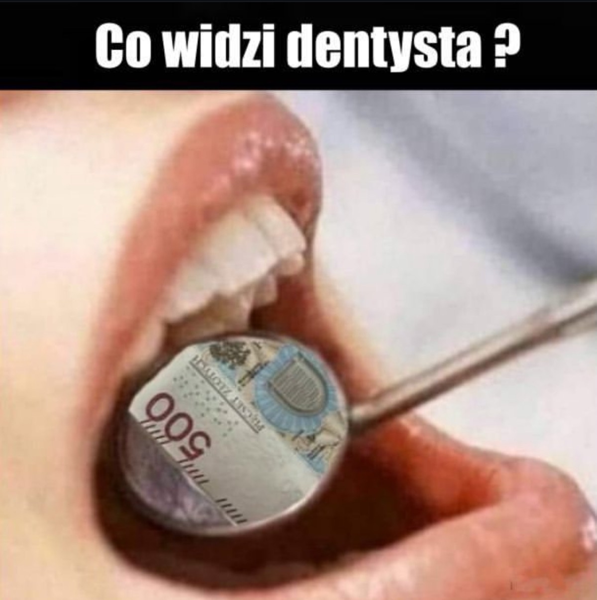 55d89a64-af28-49e2-acd2-ded02f55c956