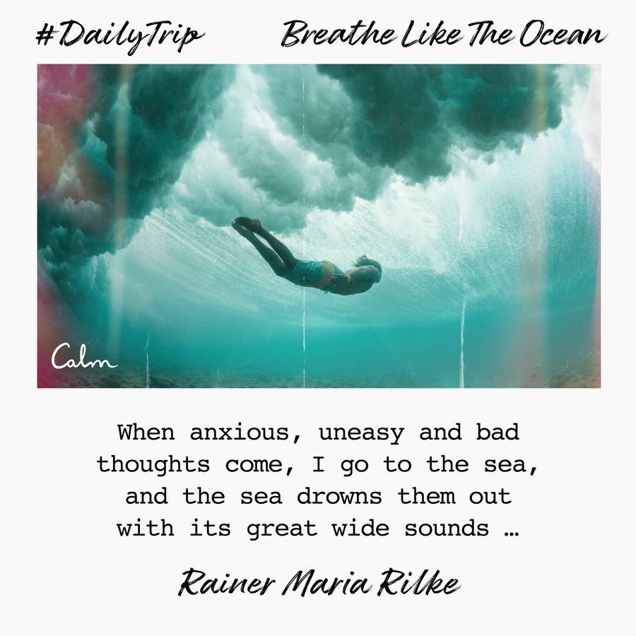 371d43b6-c553-42b3-9128-e8501af39538