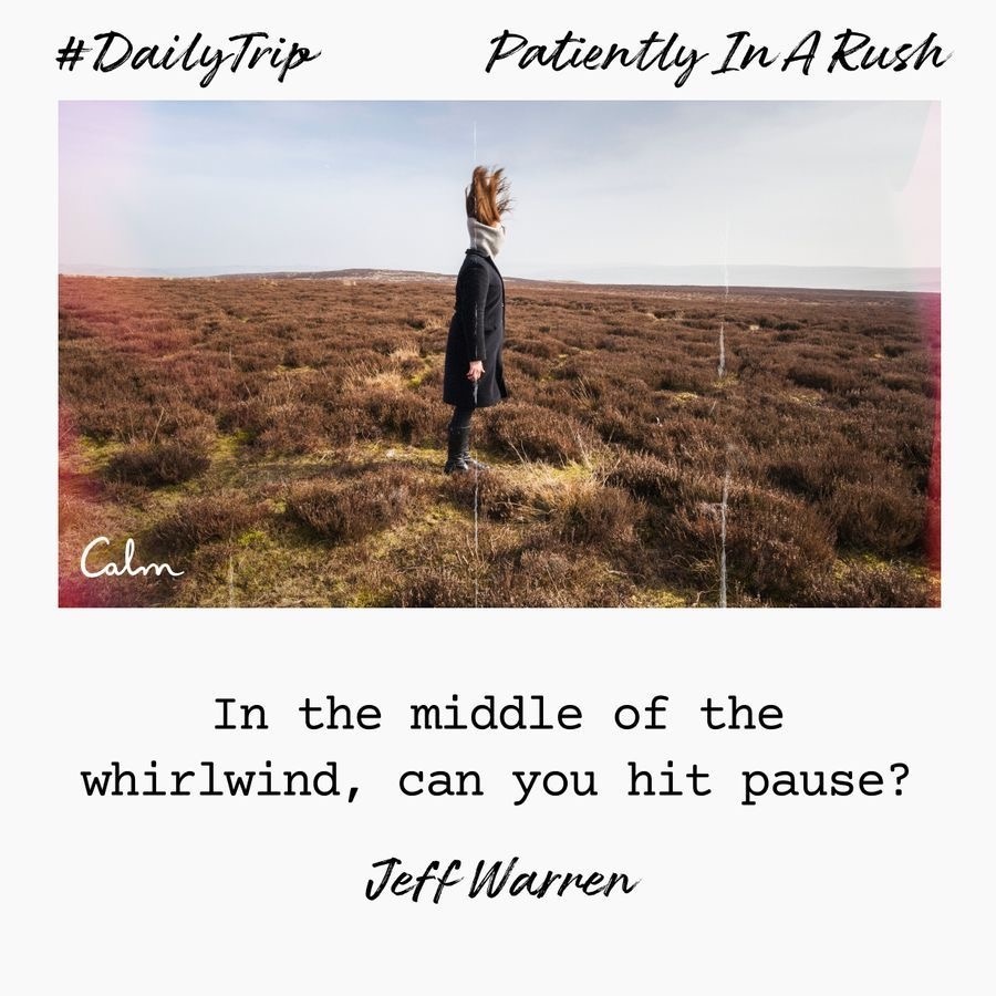 89f39b11-0f3c-4f41-a28a-28b464bd0b8b