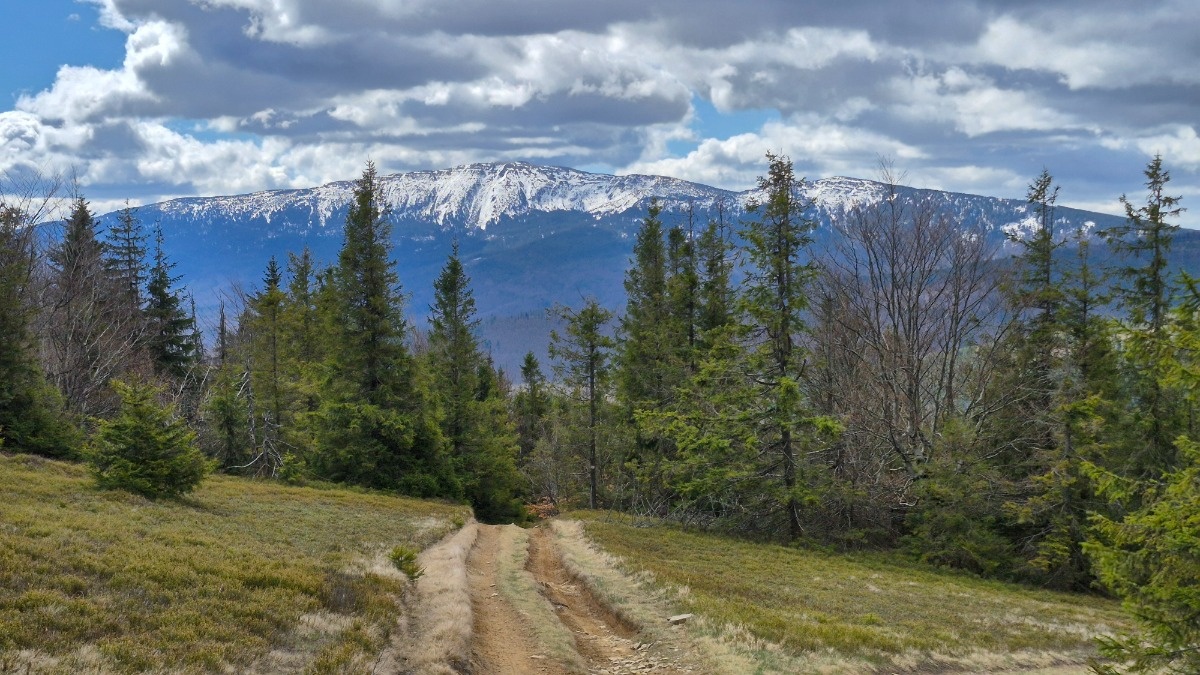 7daf77d8-d3d7-453a-83bd-59fdcb1effaf