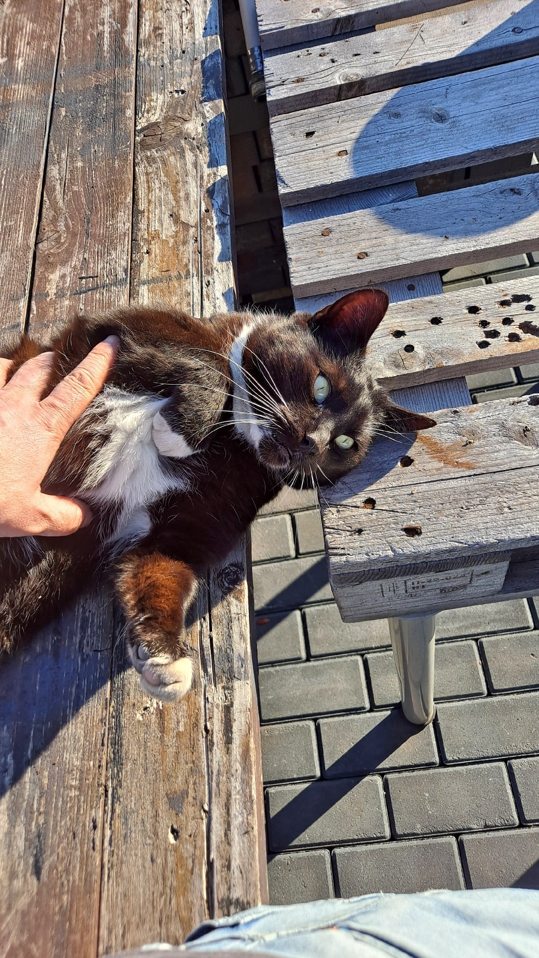 7d8f0ca4-a114-4612-9e14-daefd1430091