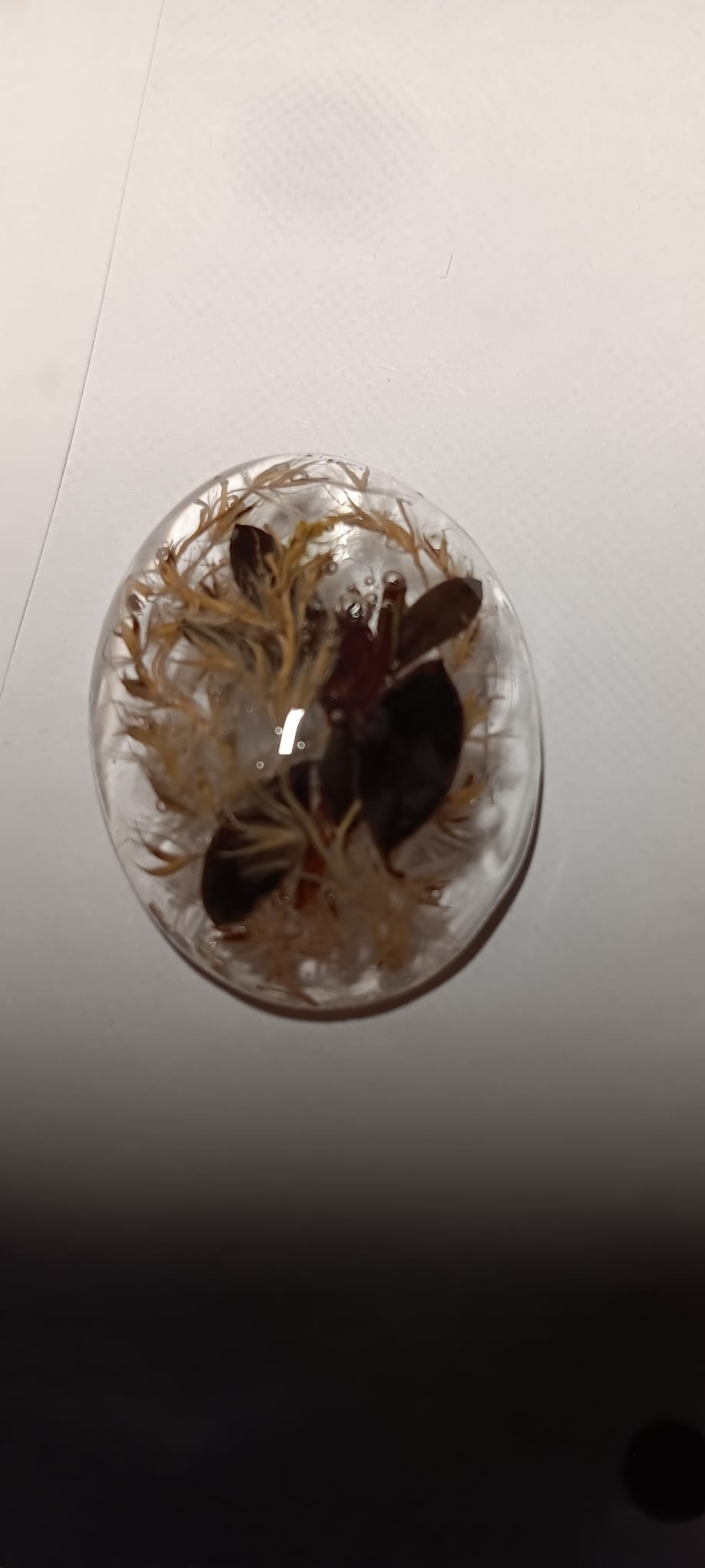 885827db-d5c7-4c80-b74c-4e1aa574f85c