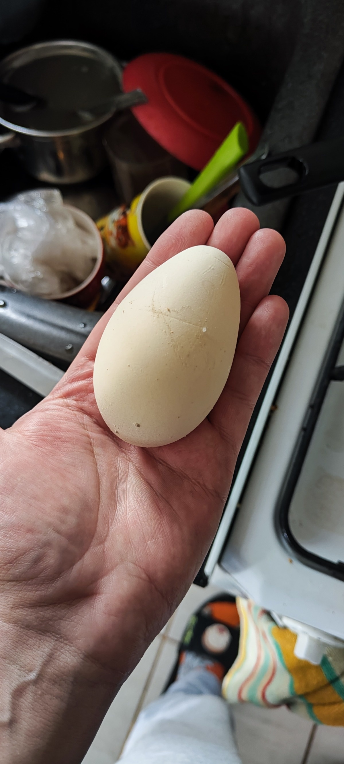 223bc032-f98d-4b61-8d87-c593cc85850d