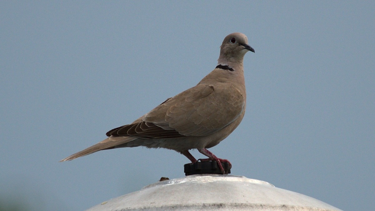 10bf17e7-21ff-436e-bc8b-0a5e7290a9e4