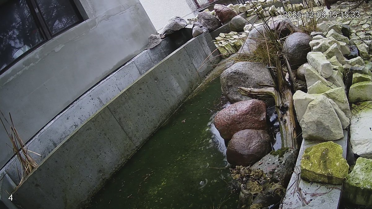 33c6d55a-3e04-4cf6-b110-862ab4d21fda