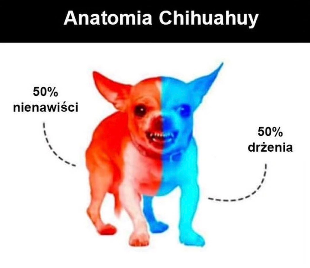 a8dd81ef-579c-4b2a-9ce4-ea5b93bdd625