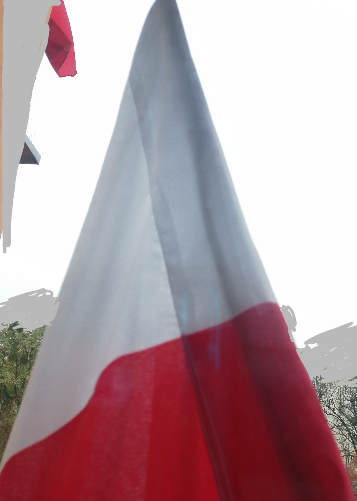 287a8690-b618-403a-afab-673e26c1dc68