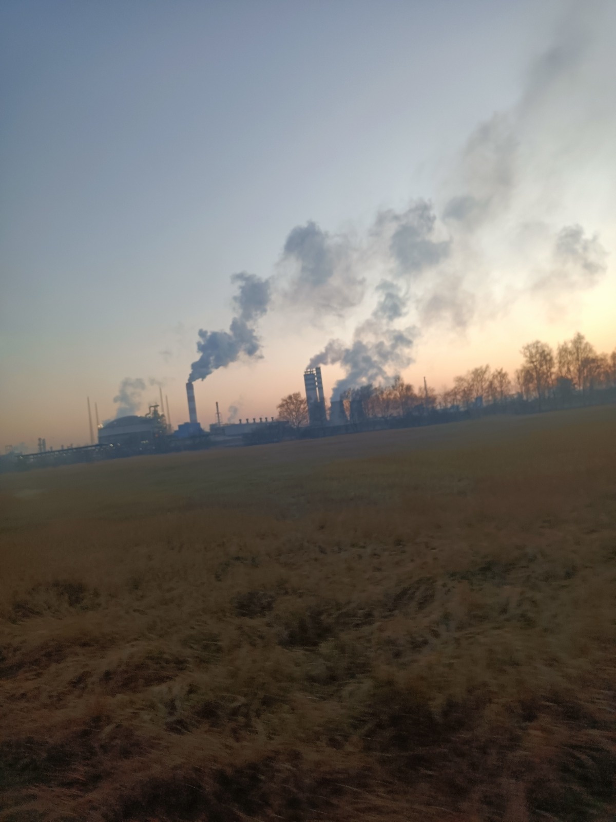 91b558f9-d7ed-4c58-83f8-4a0181f01982