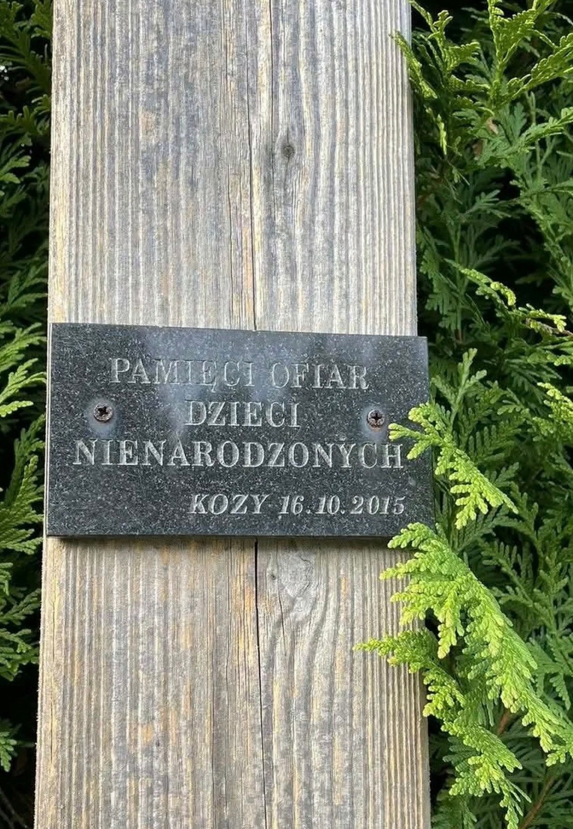 e1db6e47-ab0f-4a15-bf91-7d6848d6d379