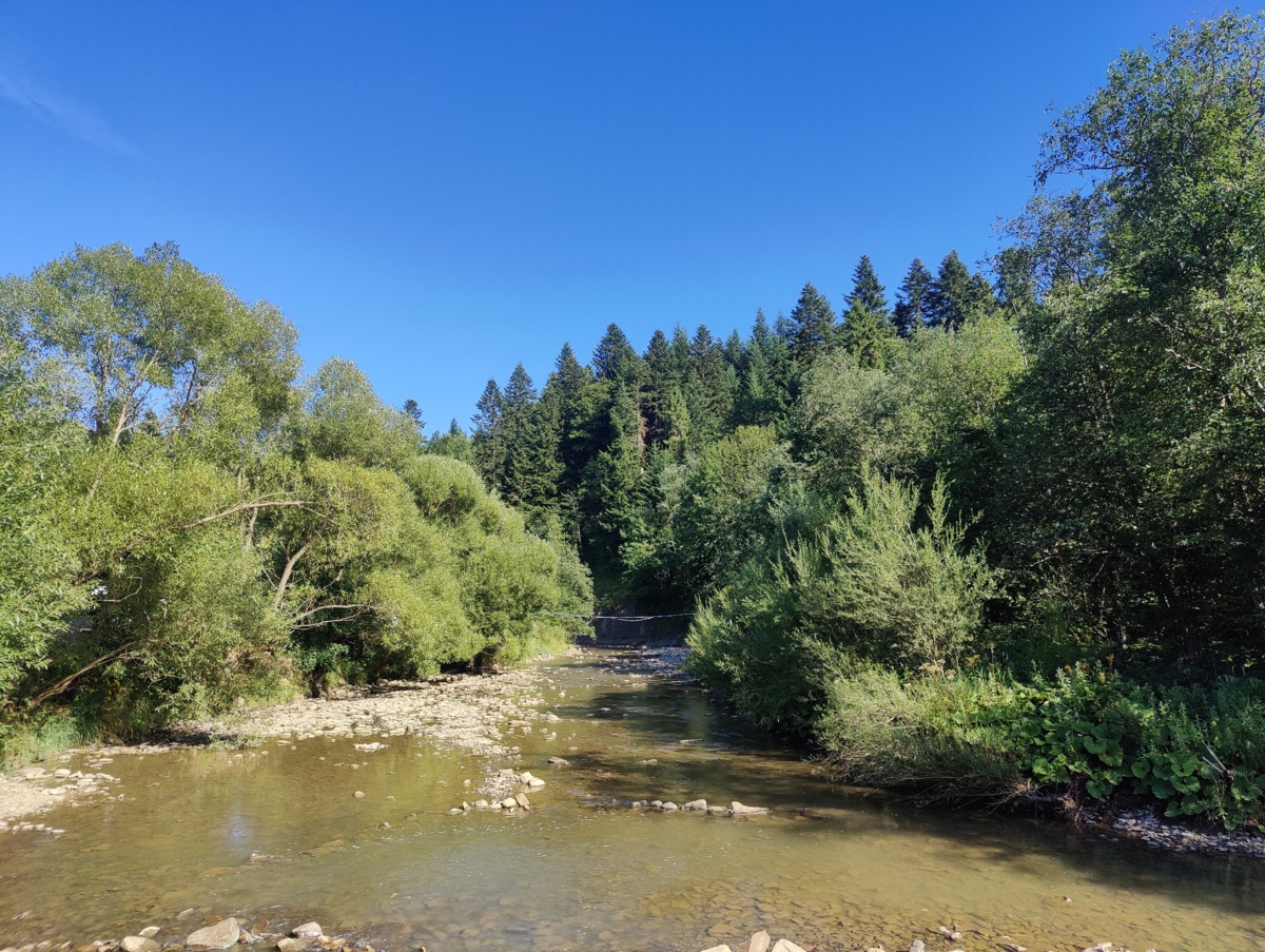 c39b087d-8622-4824-9b2a-1f88bfe64678