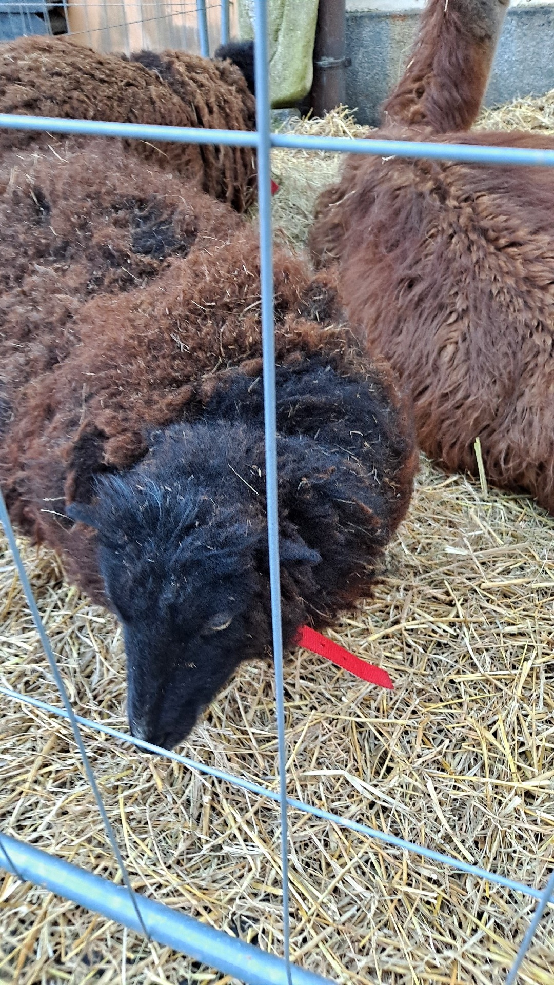 209741d5-4b37-47e8-a007-1a76de683bce