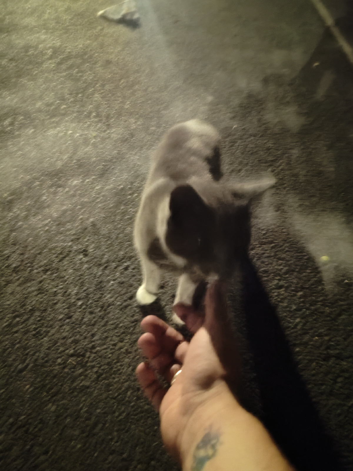 1a9d17f4-4b20-4b38-9d68-d434c034f871