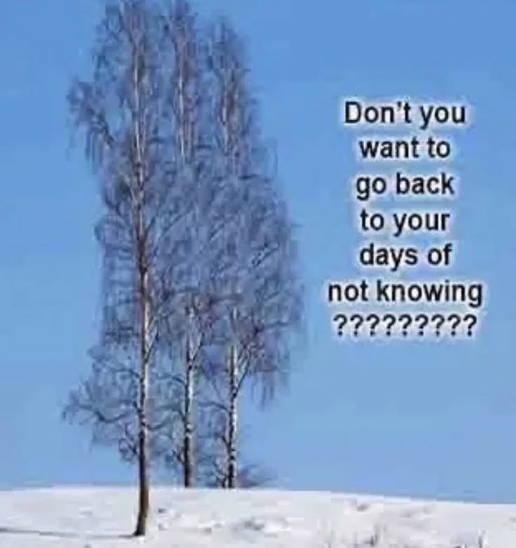 6dc22d55-2c6e-42de-983d-75ff00275d9d