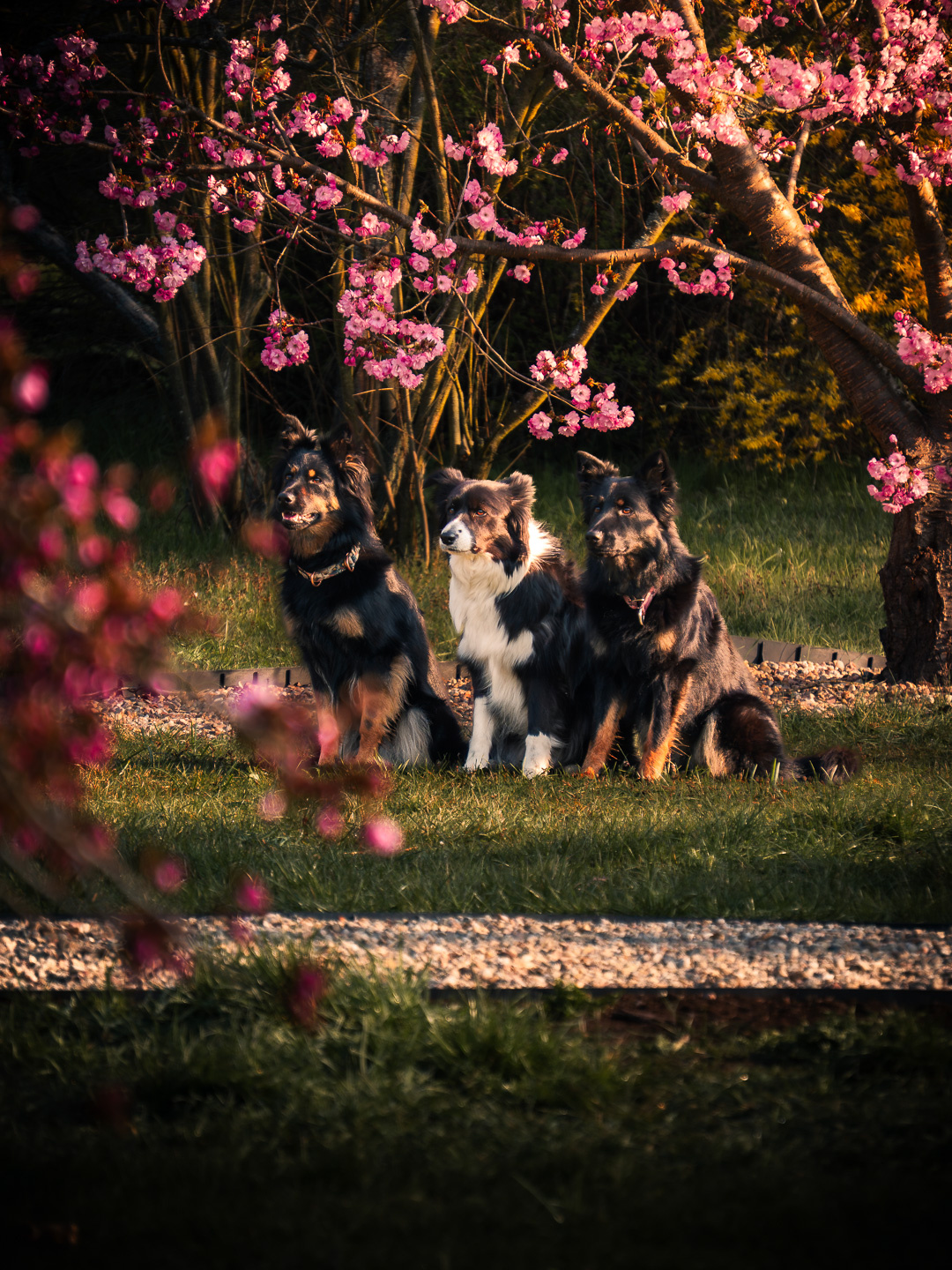 c7e1994e-5eb2-4d9a-bd31-5ac6bd29a60a