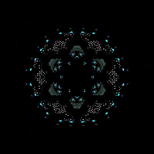 1c322e53-8fa4-4d54-8dbe-42a41b9c2ebf