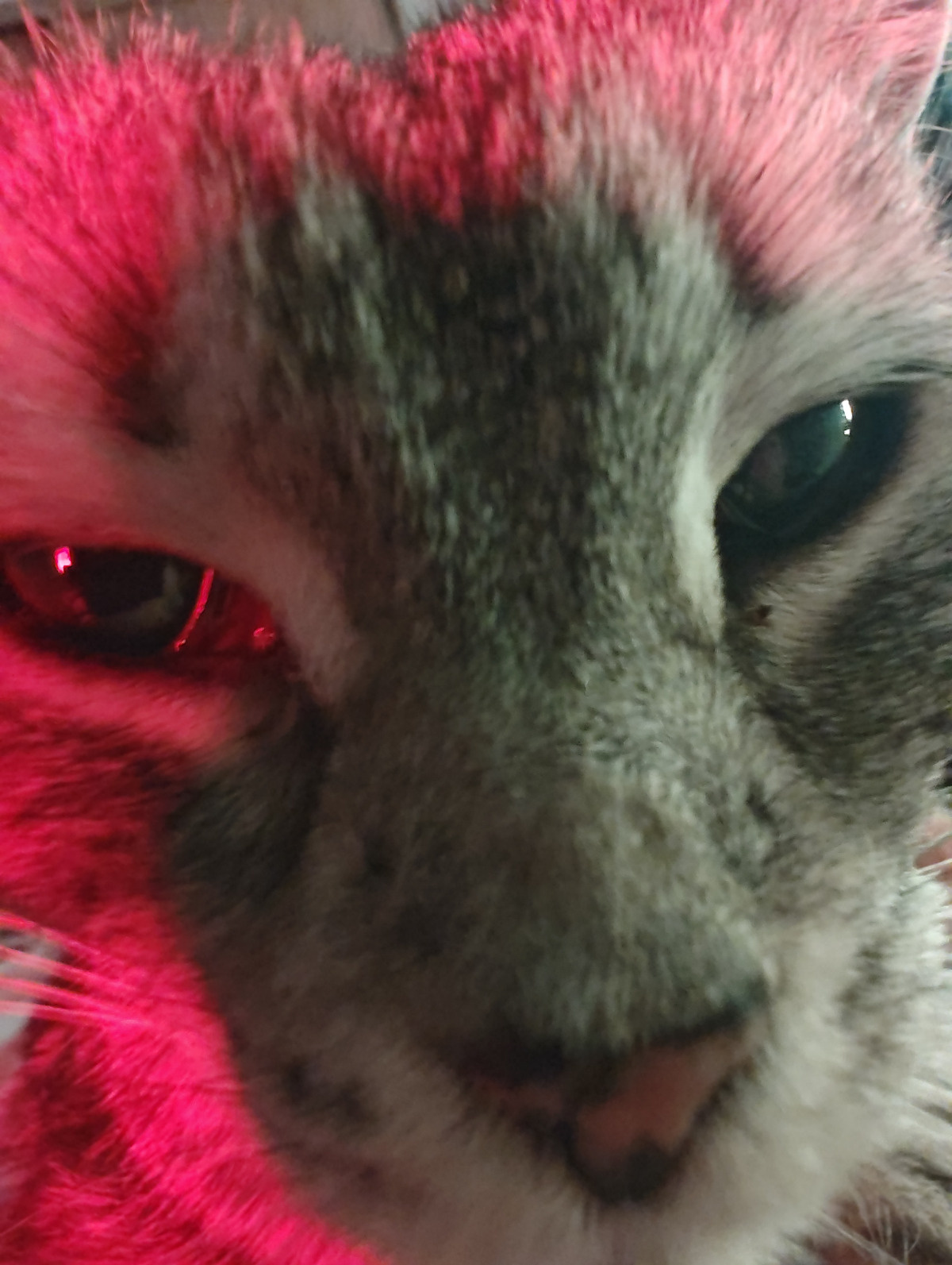 0abb071d-6514-44f8-9776-333fb5aba145