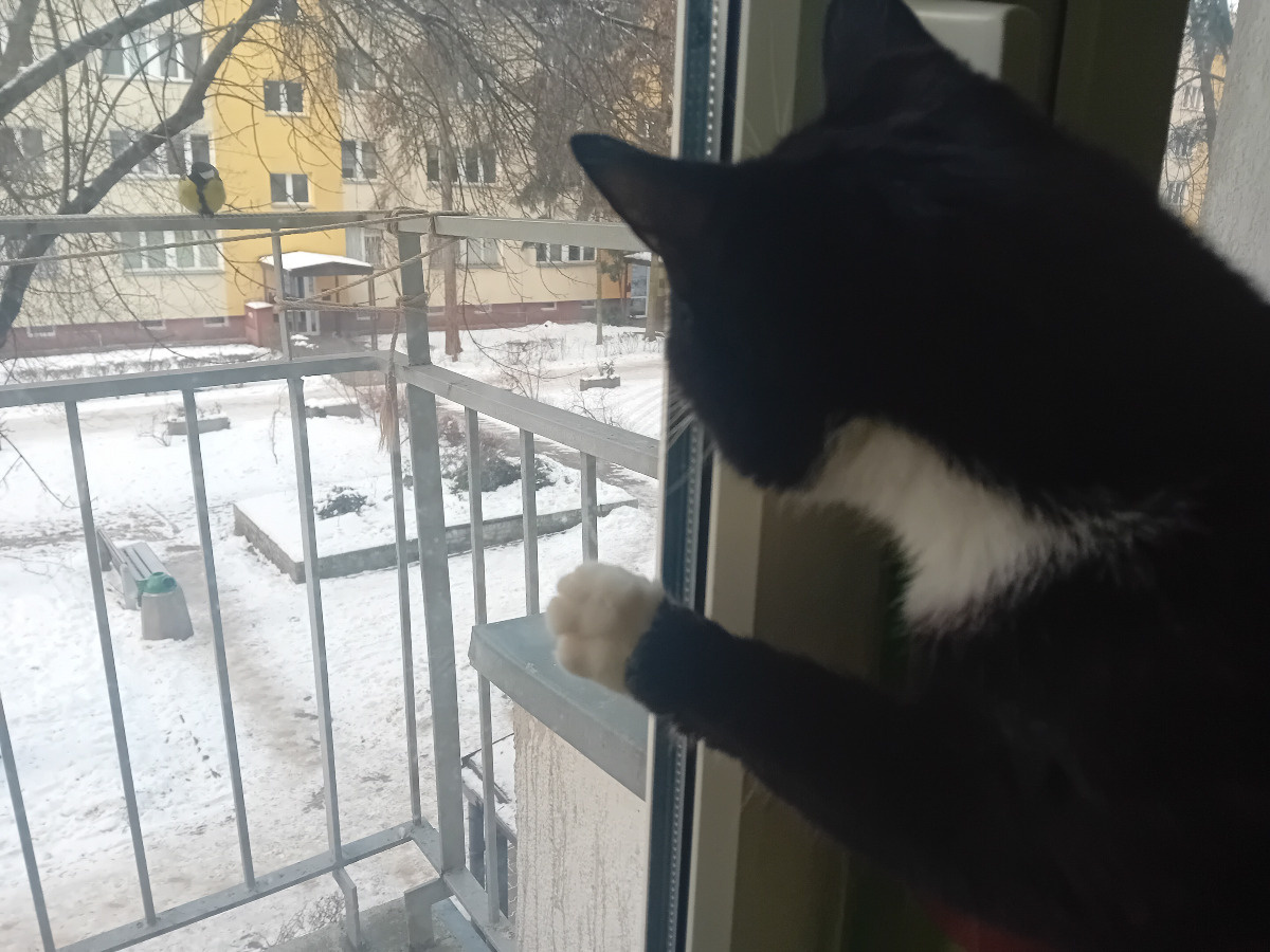 2f12c0af-8cbc-414e-9799-4f87599f6dbb