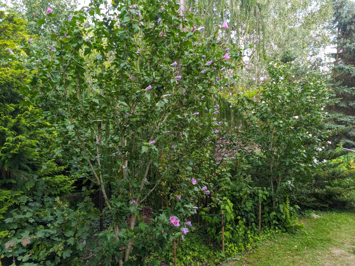 1e962d06-805d-4942-914d-cf5e3af96514