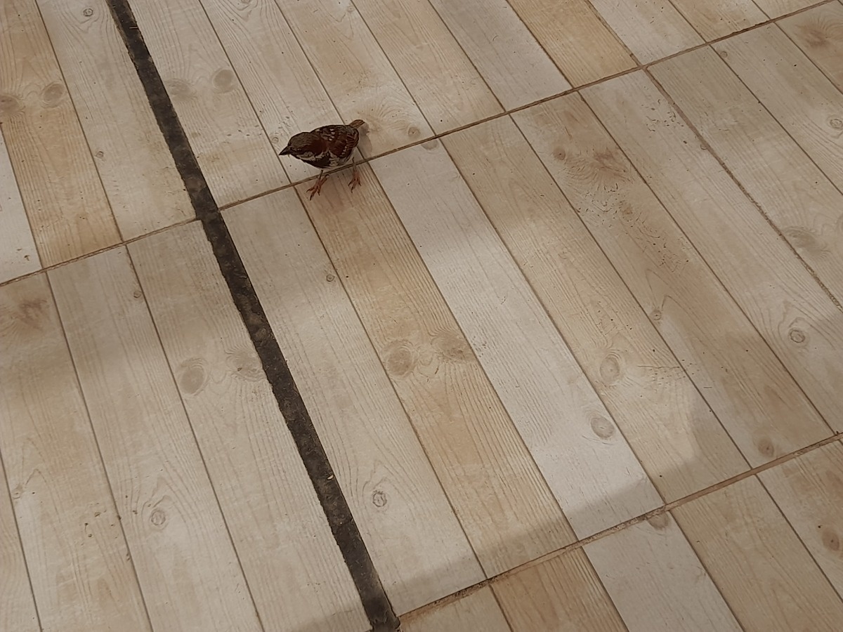 5e427ea1-ca93-4533-9086-5855ad459f31