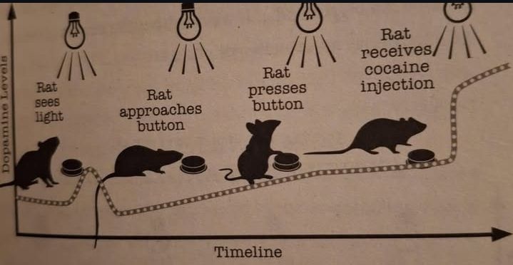 8b376892-b209-4058-bc32-d5fad1c7e018