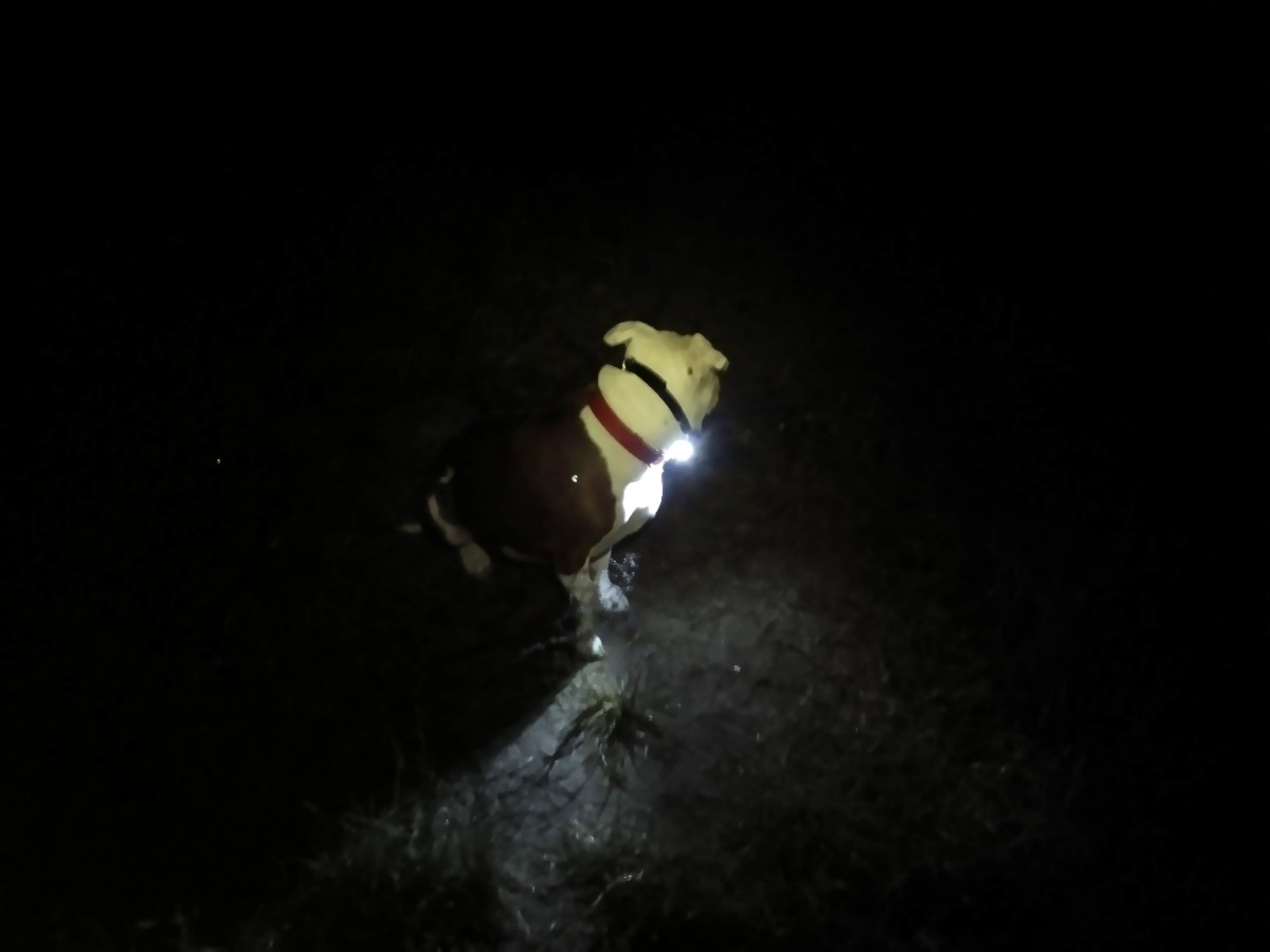 5784e851-9656-4a44-9d8e-5936d00fb8df