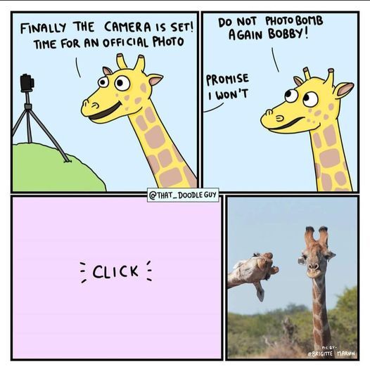 77f0bbf0-d03e-4262-ba42-993cc149c529