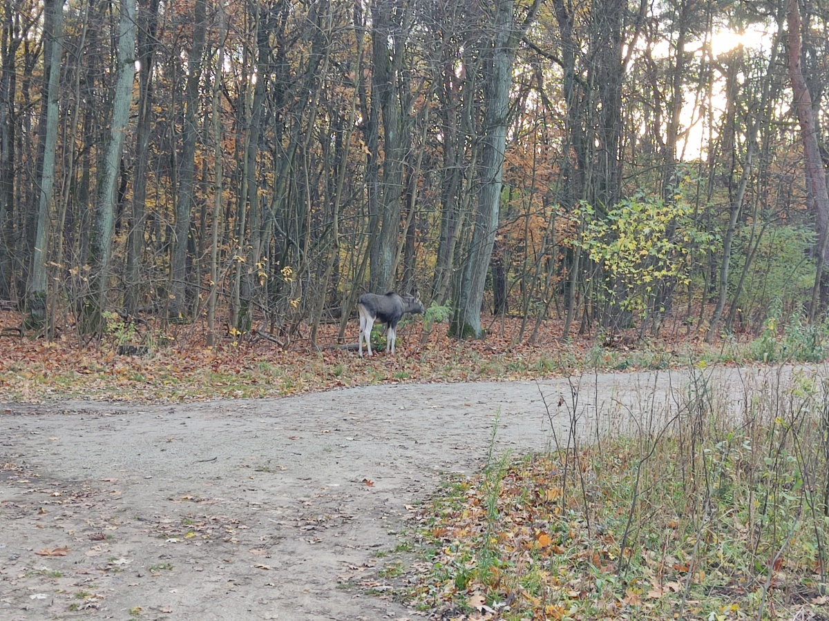 d519e211-d8e2-4f74-987f-68e8a86b446b