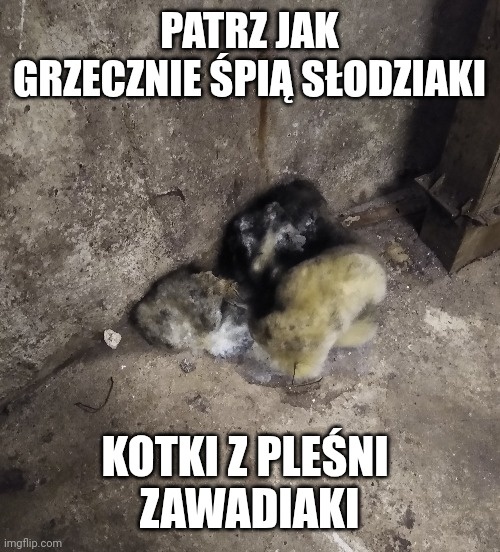 4bdd465a-fa81-42d7-bb25-bd02ee2868b4