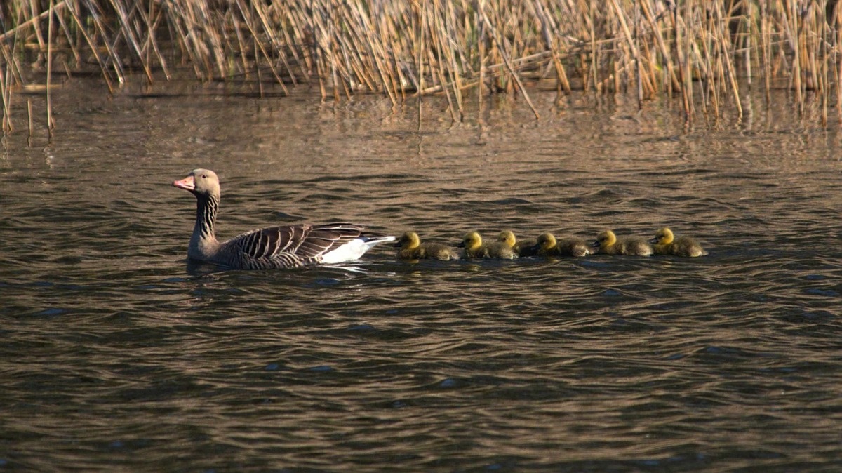 01cb625f-0279-4533-9298-d12f2743b17f