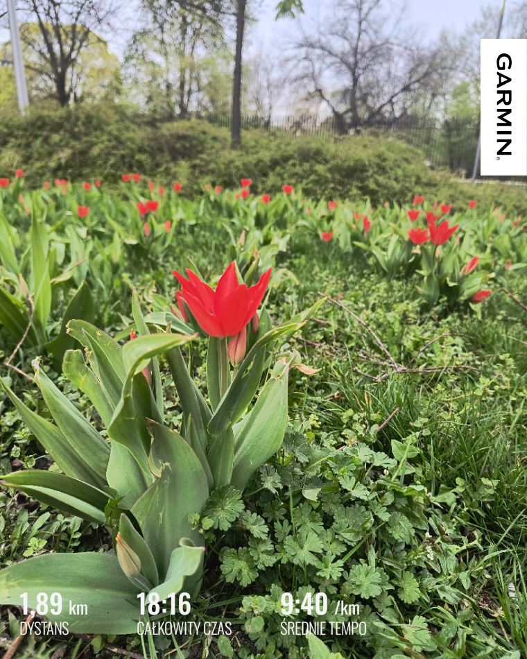 c2cb86ad-d468-40a1-9efe-effad7e7432f