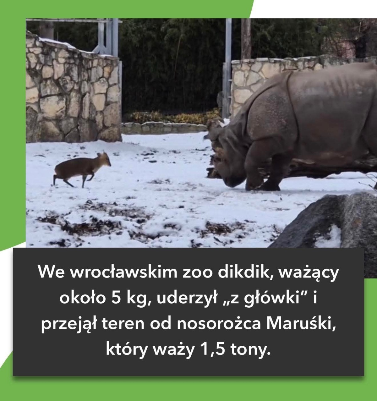 d46aeb2a-a7f3-4432-a2b0-f30f400ae9b9