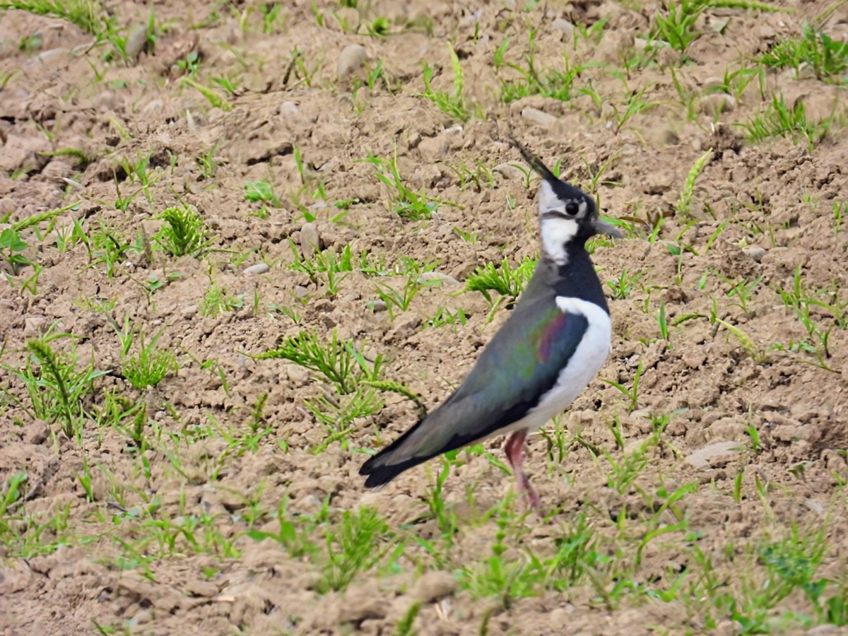 12578925-a3bd-4f00-a114-cfb8e881eaa6