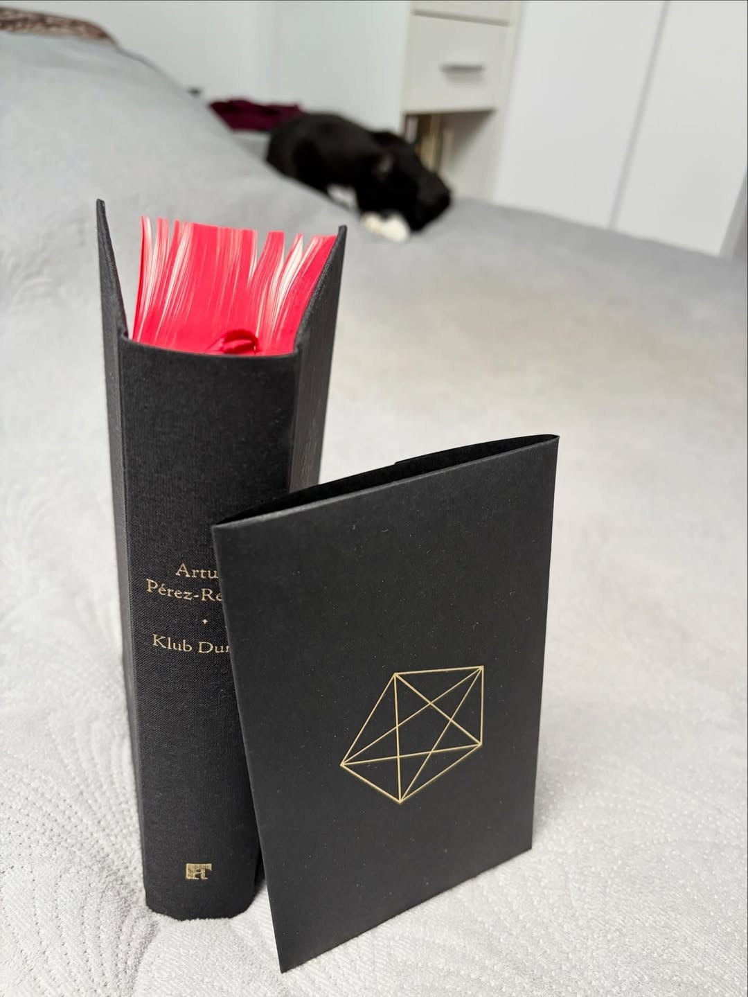 7885d898-8c5a-45c2-b810-356fb06add32