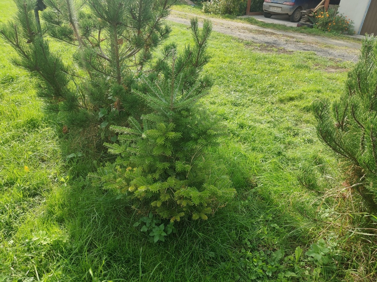 48a95b78-fca3-44d5-8085-c39f6cd4c4e0