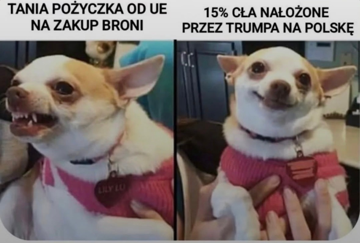 852e59c2-89f3-4594-8033-a0dcaf0aa7ae