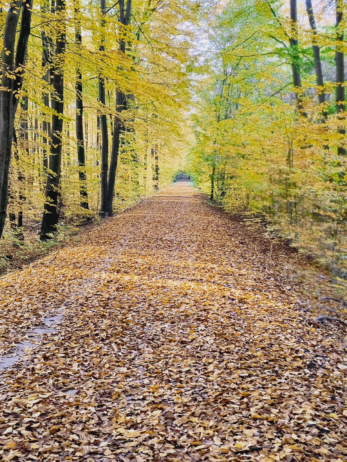 58aabd81-4aaf-4d9c-ab05-c8765b0d36fa