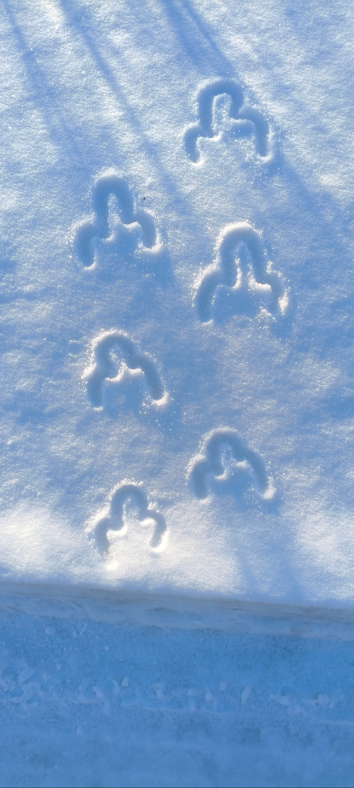 9f509879-cc6c-4f86-87e4-3171bb81ab8c