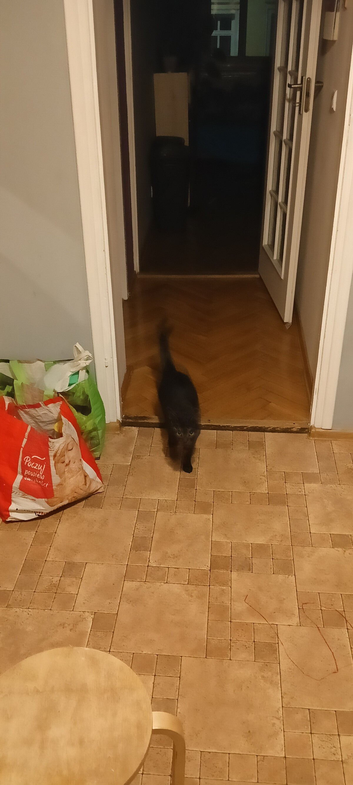 7e3251f8-7333-4f61-a5a5-5b88d41731fd