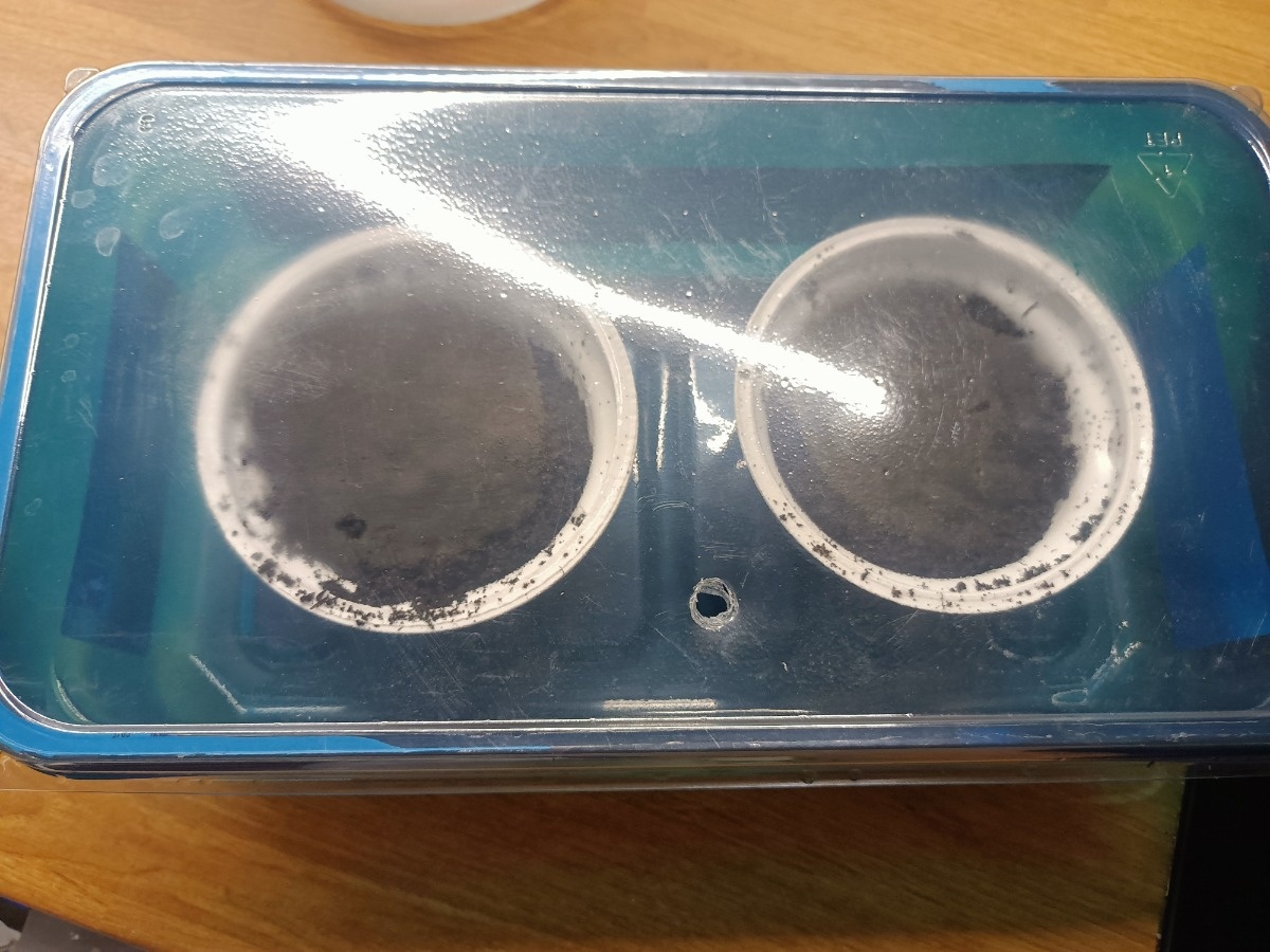 ca92a2a5-e739-4483-9ef6-452b2434d498