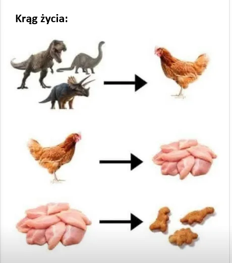 3e23ee45-270a-4eee-8197-383912d48048